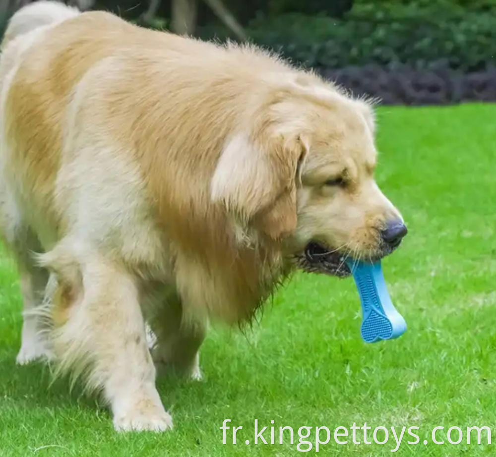 Natural Rubber Dog Chew Toy 